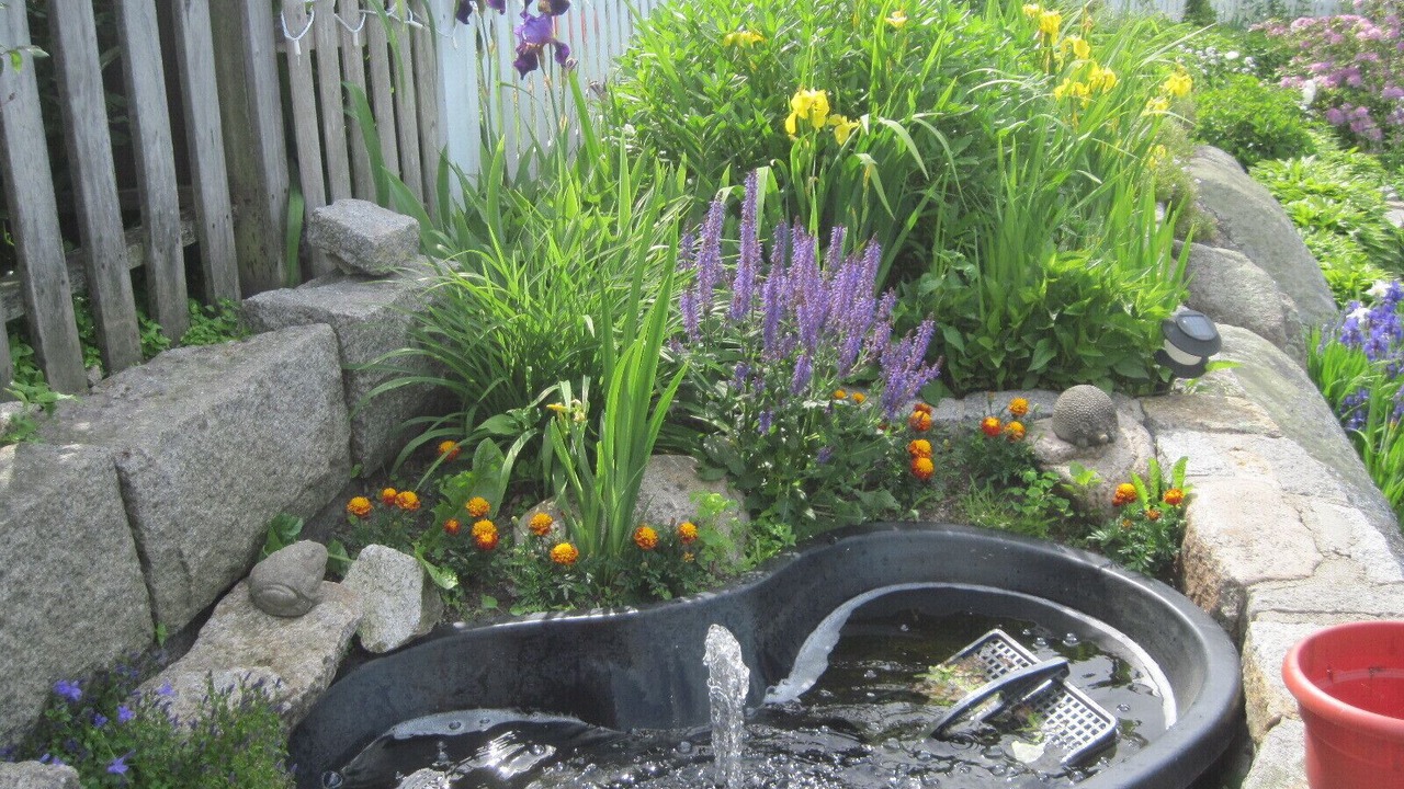 Photo of Outdoor in Rockport