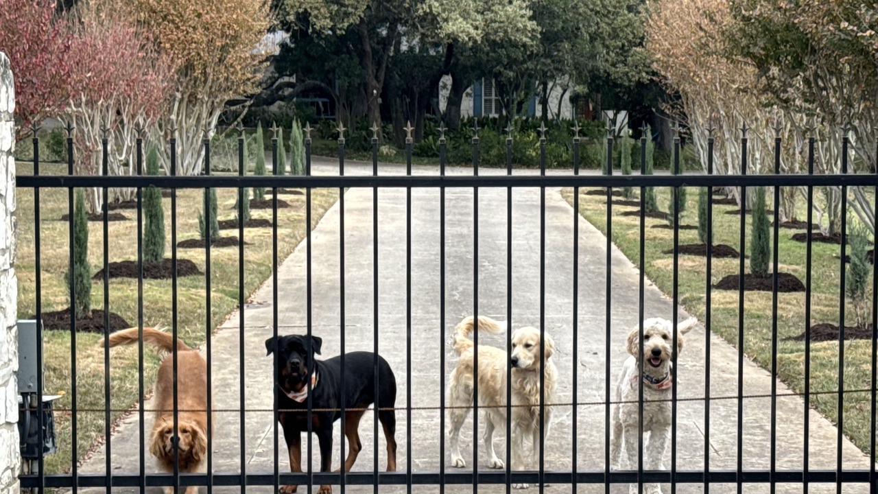 Photo of Outdoor in Oakland Estates