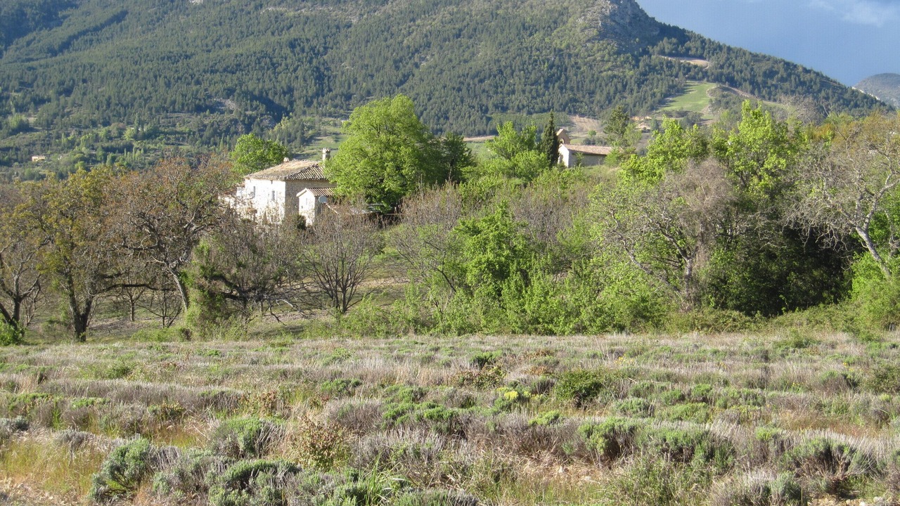 Photo of Outdoor in Cornillac