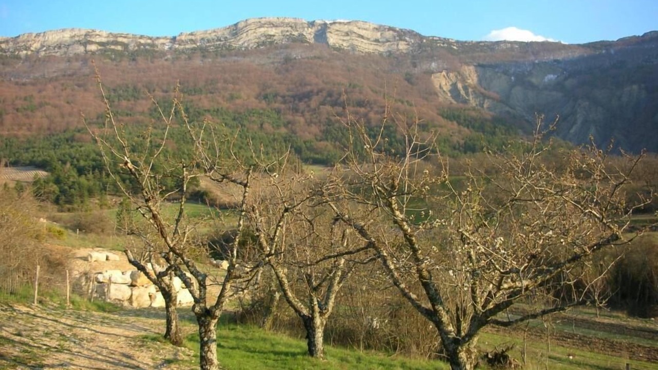 Photo of Outdoor in Cornillac