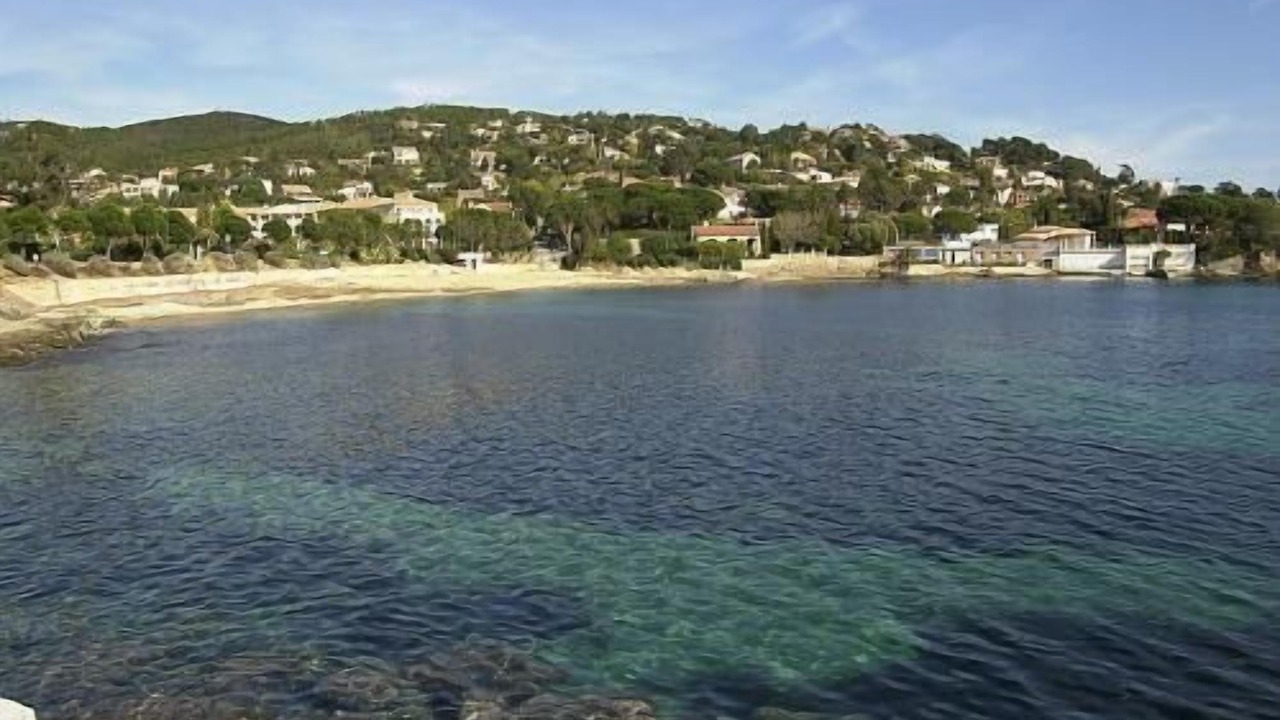 Photo of Others in Roquebrune-sur-Argens