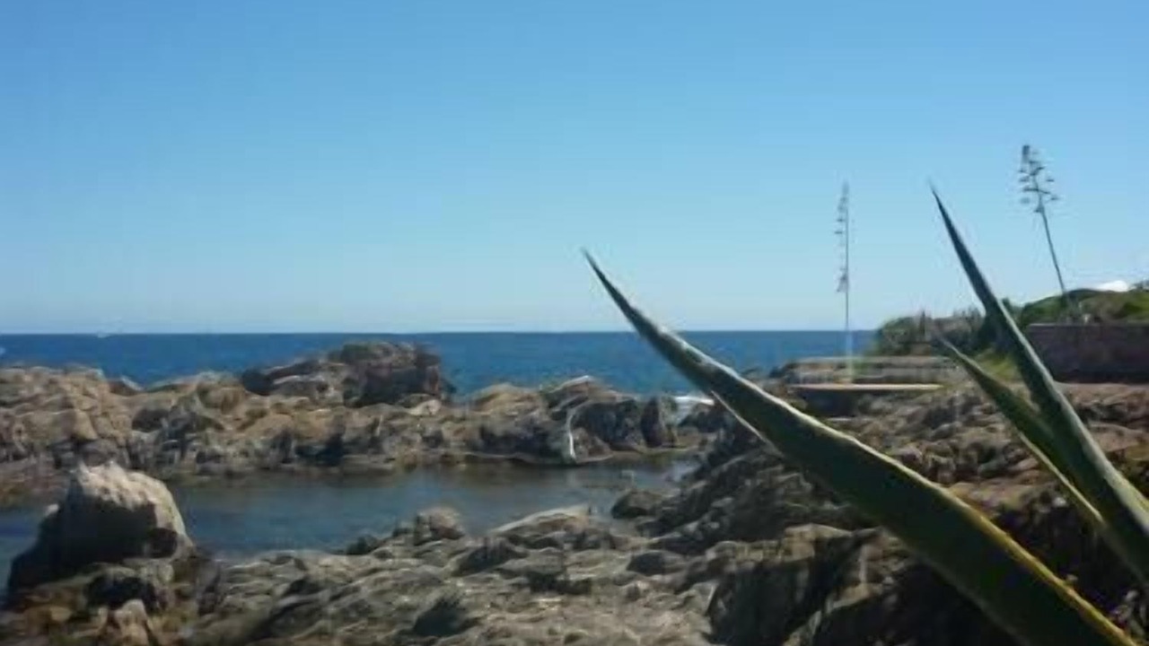 Photo of Others in Roquebrune-sur-Argens