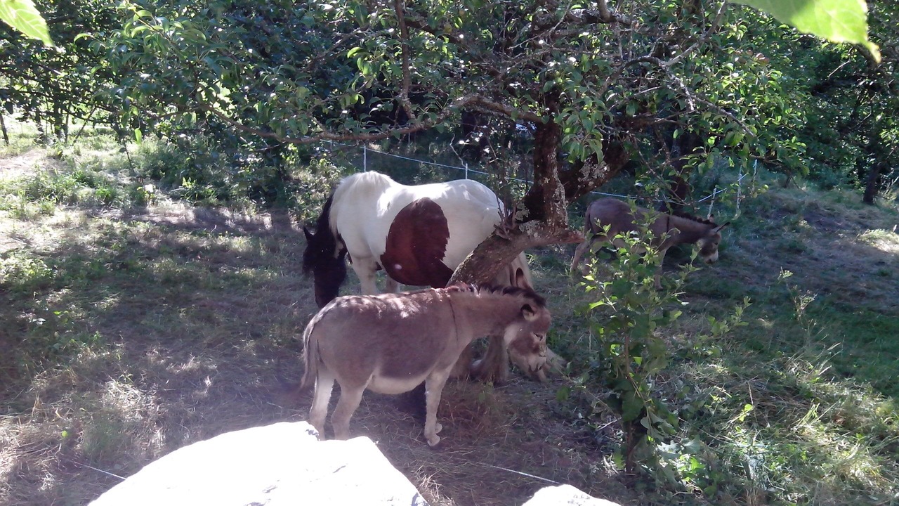 Photo of Outdoor in Altier