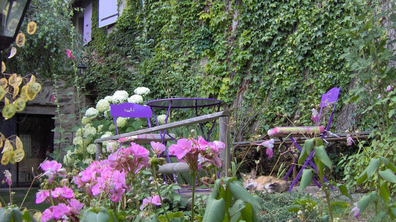 Photo of Outdoor in Altier