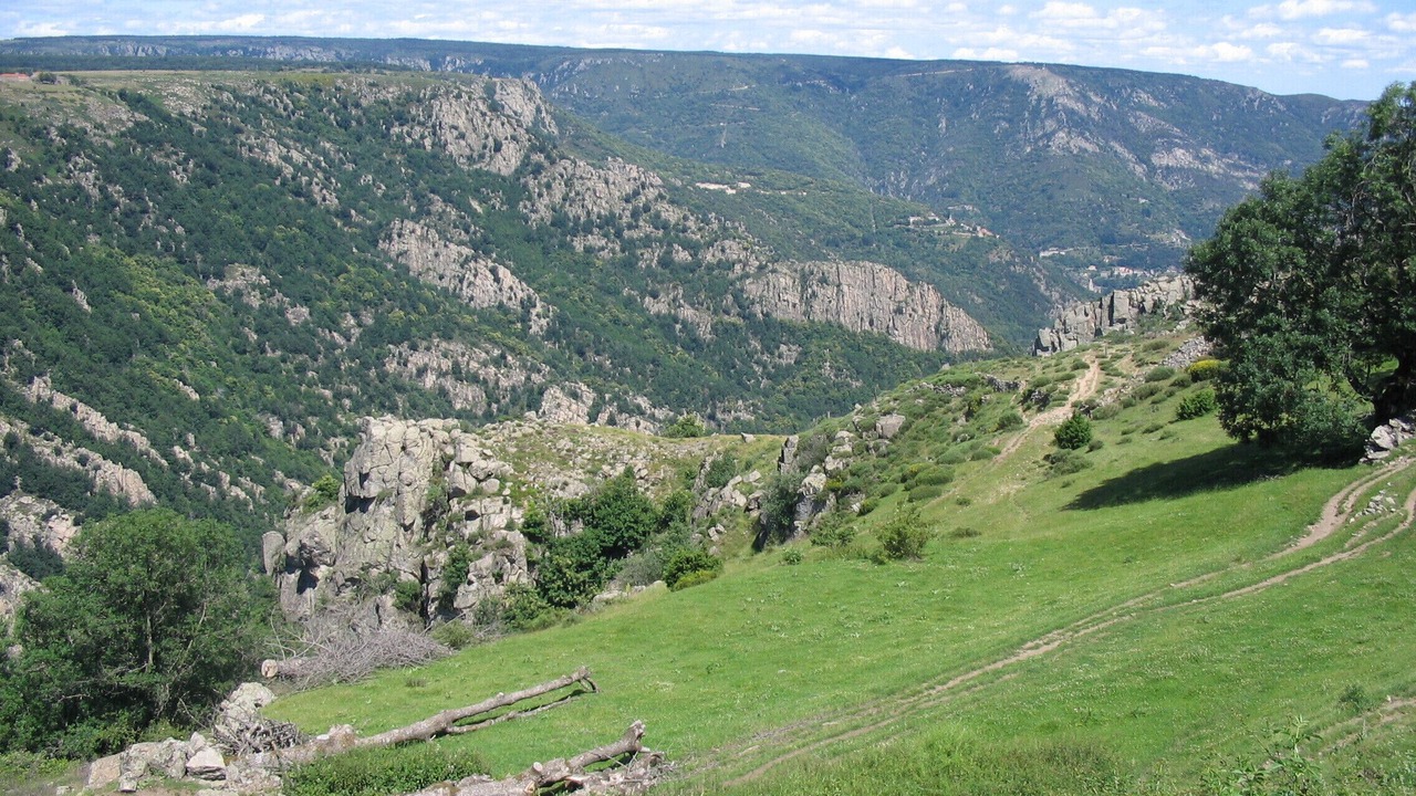 Photo of Others in Altier