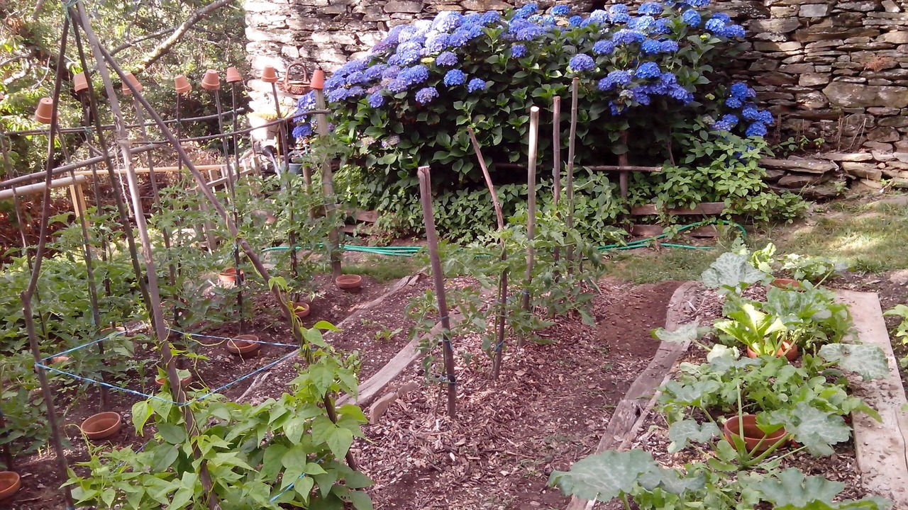 Photo of Outdoor in Altier