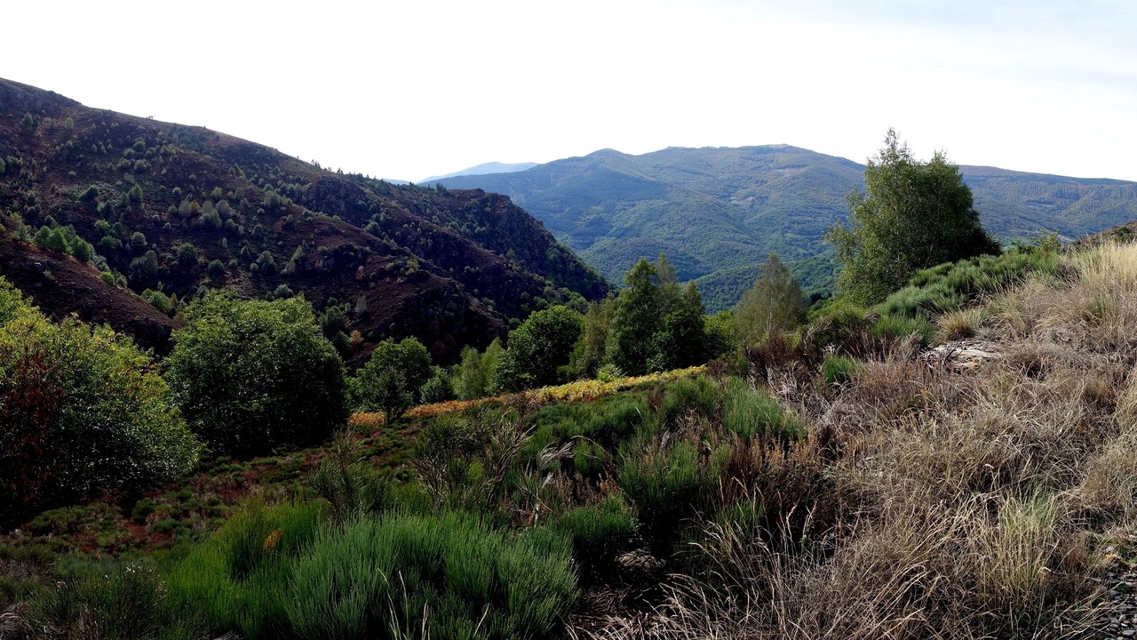 Photo of Outdoor in Altier