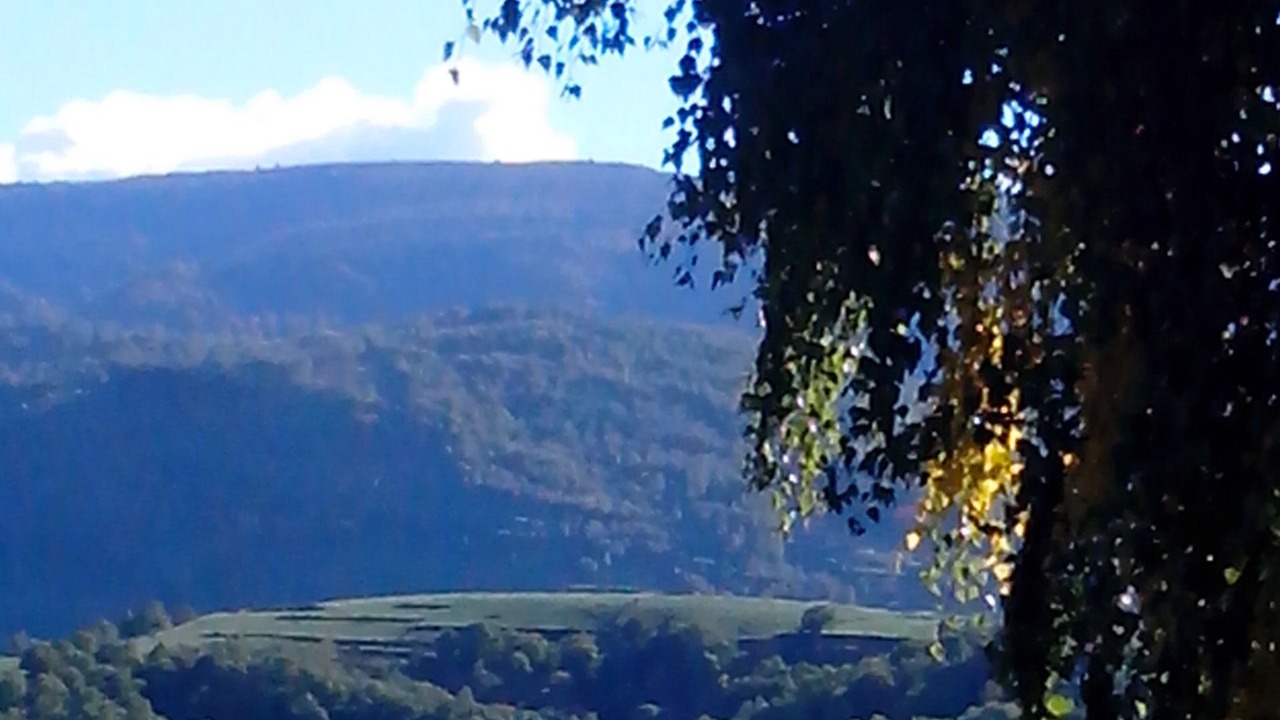 Photo of Others in Altier