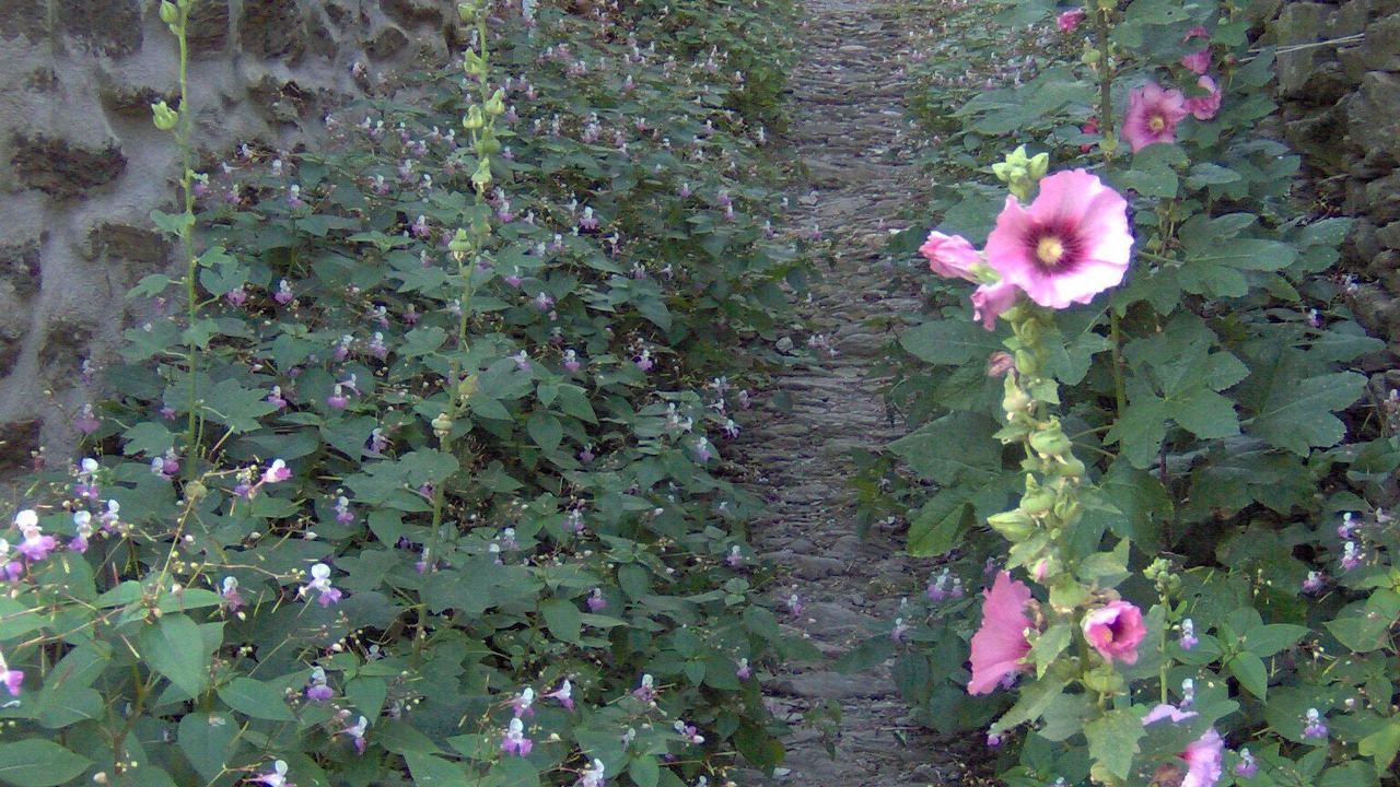 Photo of Outdoor in Altier