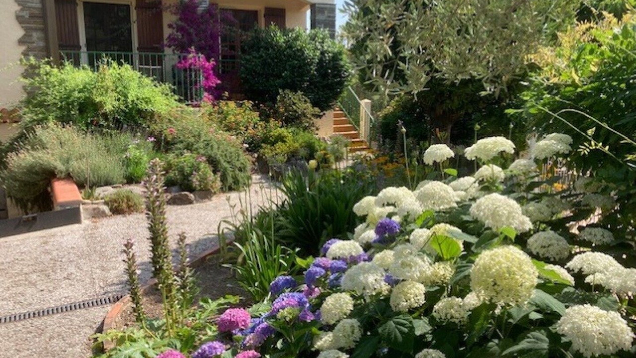Photo of Outdoor in Ceret