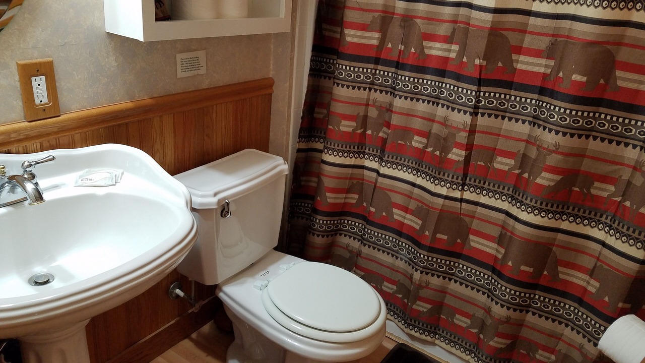 Photo of Bathroom in Lost Bridge Village
