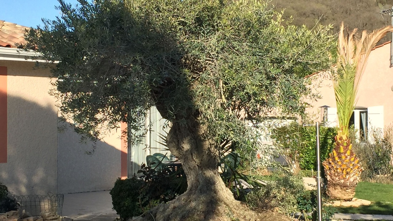 Photo of Outdoor in Muret