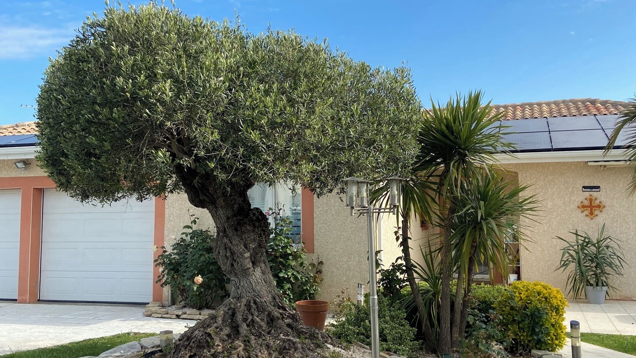 Photo of Outdoor in Muret