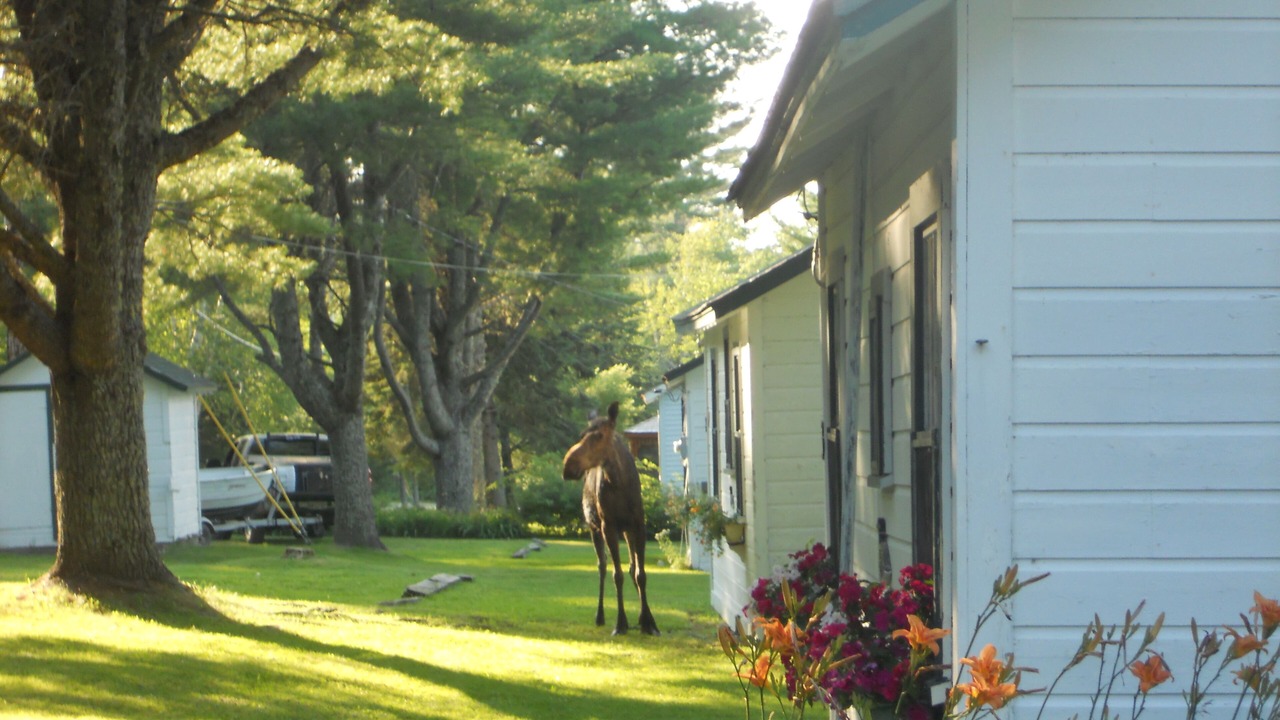 Photo of Others in Brookton