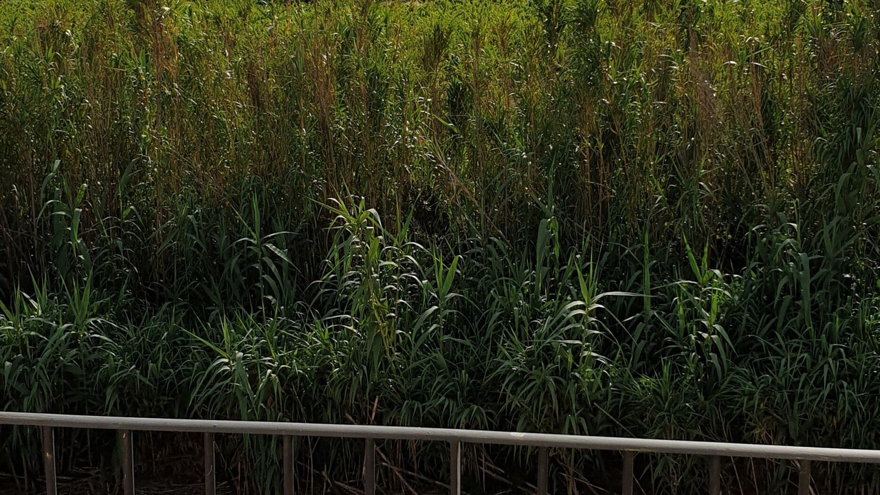 Photo of Outdoor in Tavel