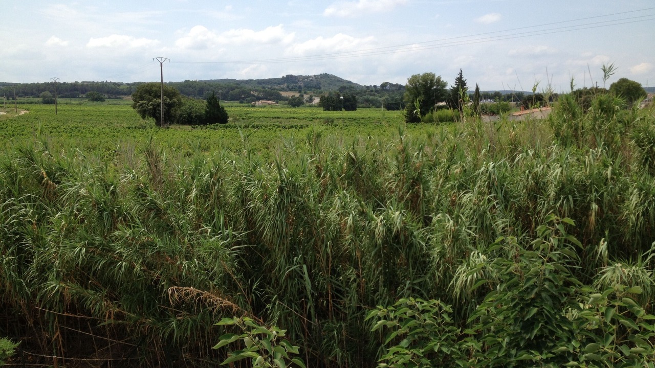 Photo of Outdoor in Tavel