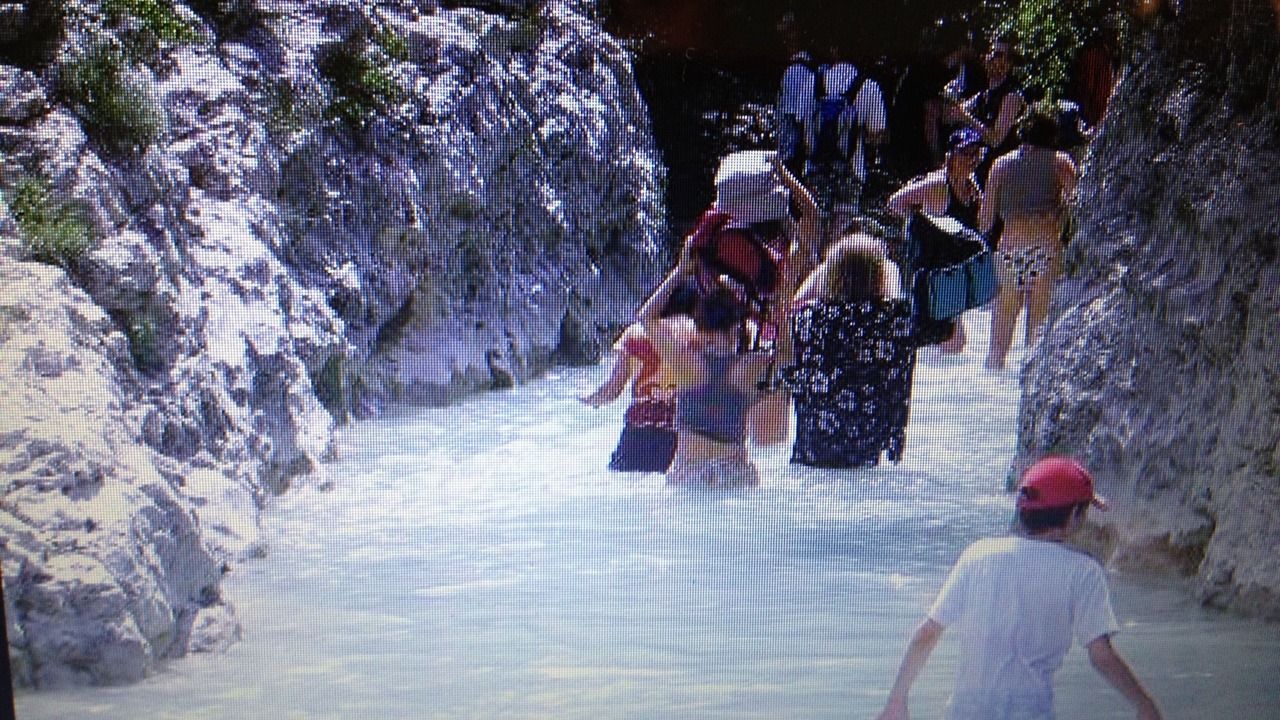 Photo of Others in Tavel