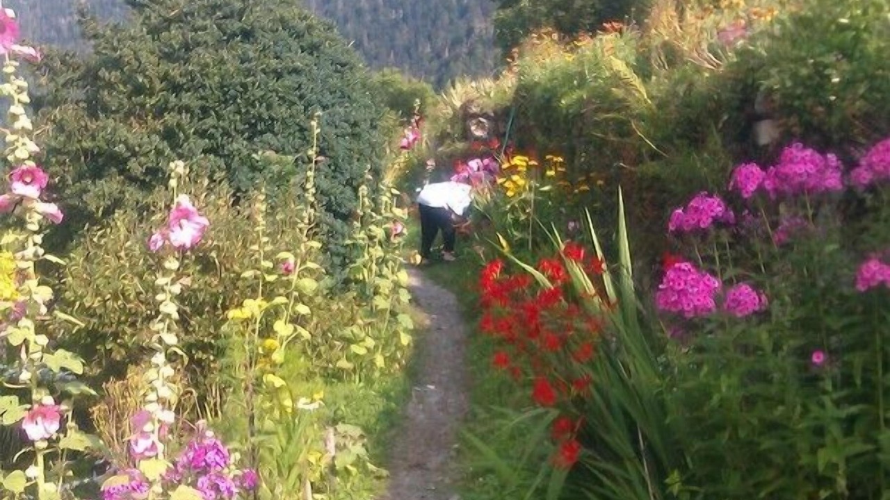 Photo of Outdoor in Cadeac