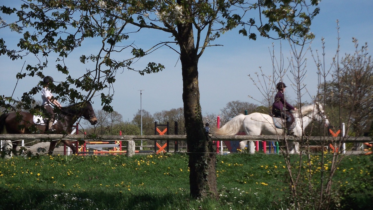 Photo of Outdoor in Saint-Michel-de-Plelan