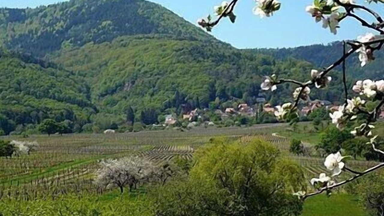 Photo of Outdoor in Saint-Nabor