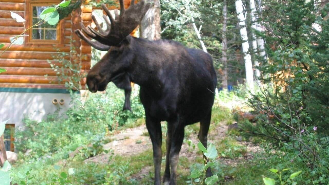 Photo of Others in Salt Lake Mountain Resorts