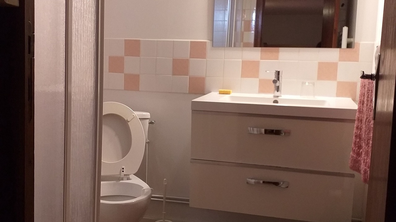 Photo of Bathroom in Campan