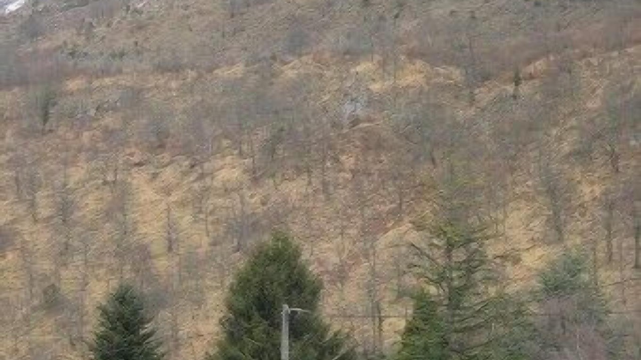 Photo of Outdoor in Campan