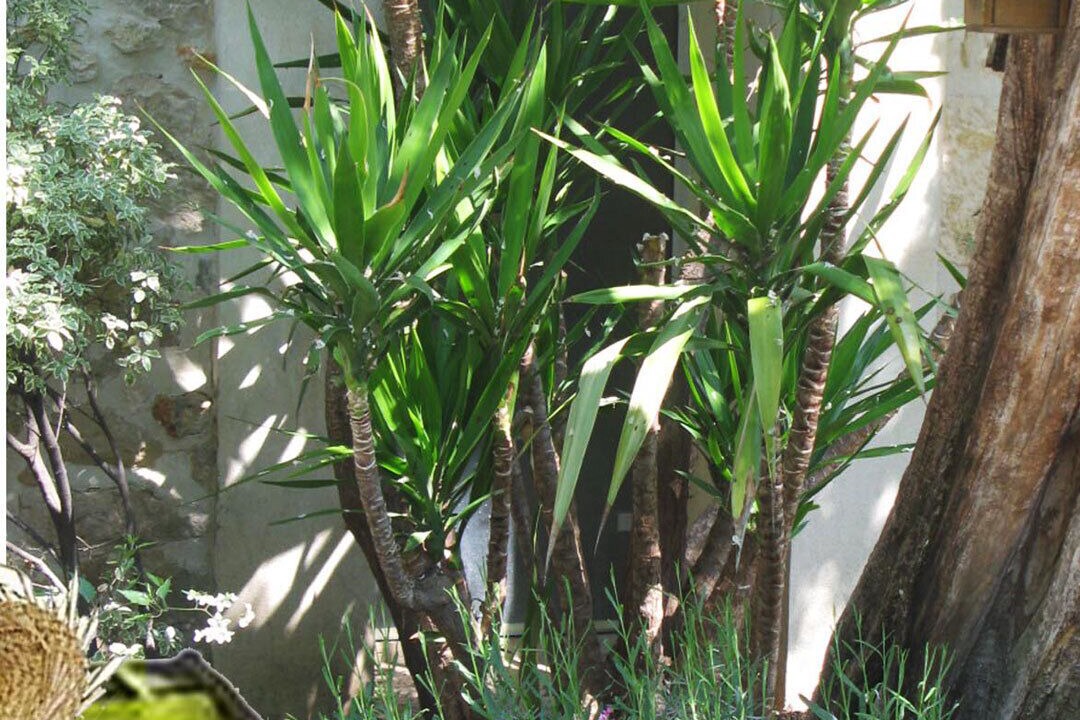 Photo of Outdoor in Saint-Gely-du-Fesc