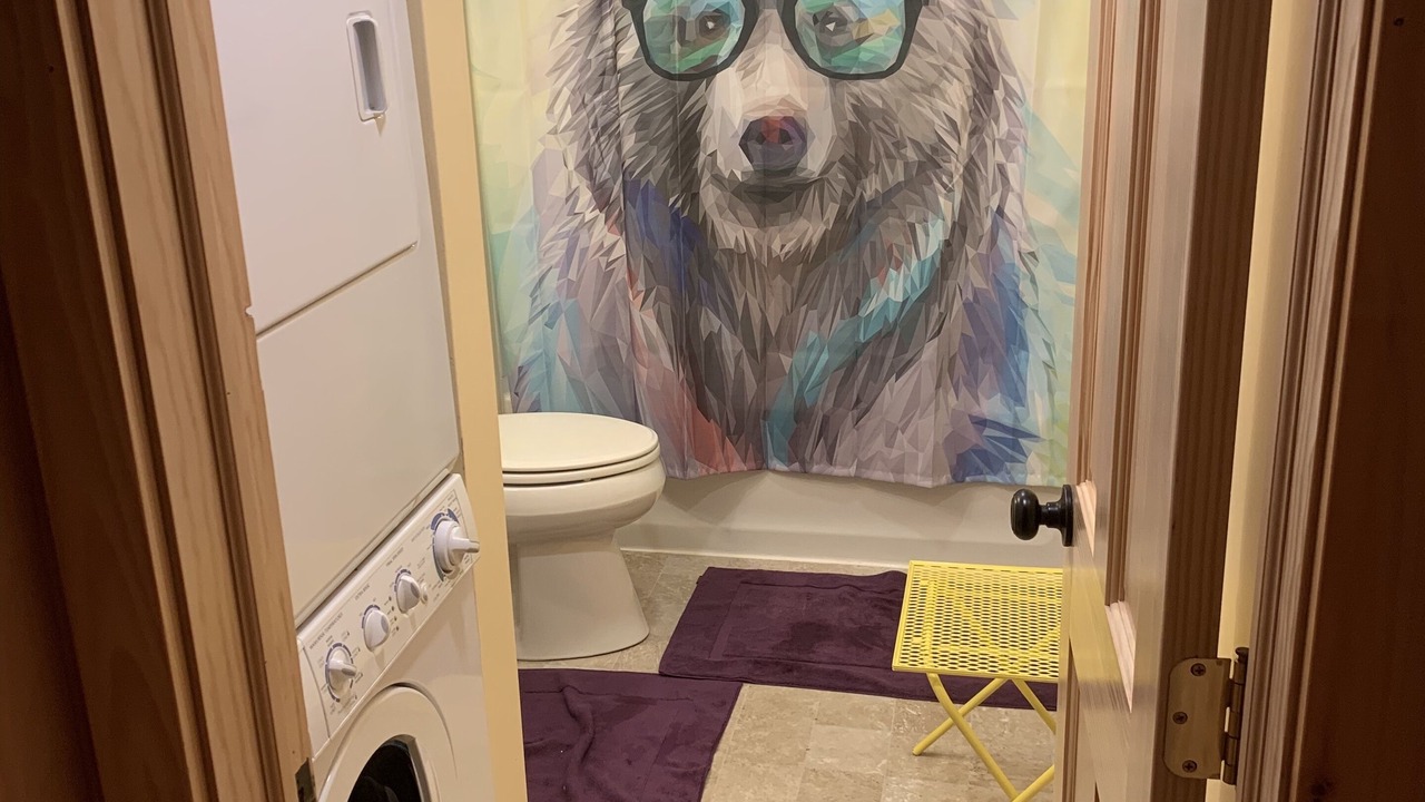Photo of Bathroom in Town of Webb