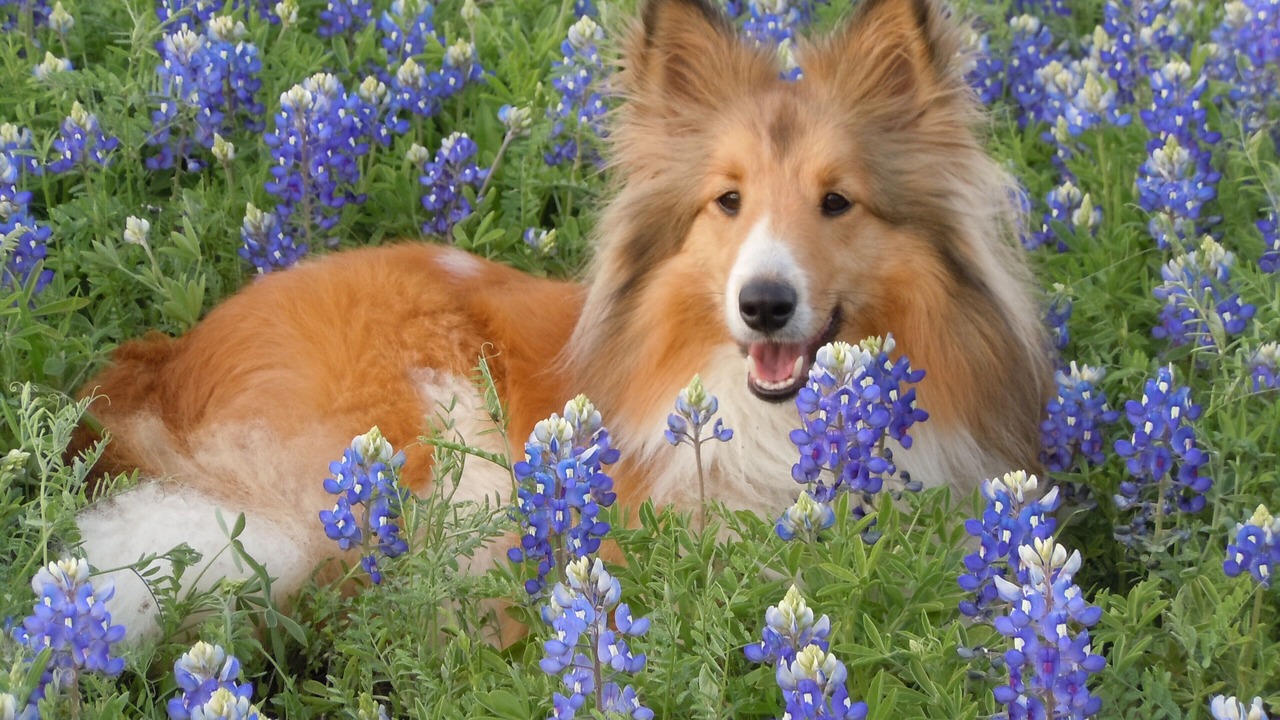 Photo of Others in Austin
