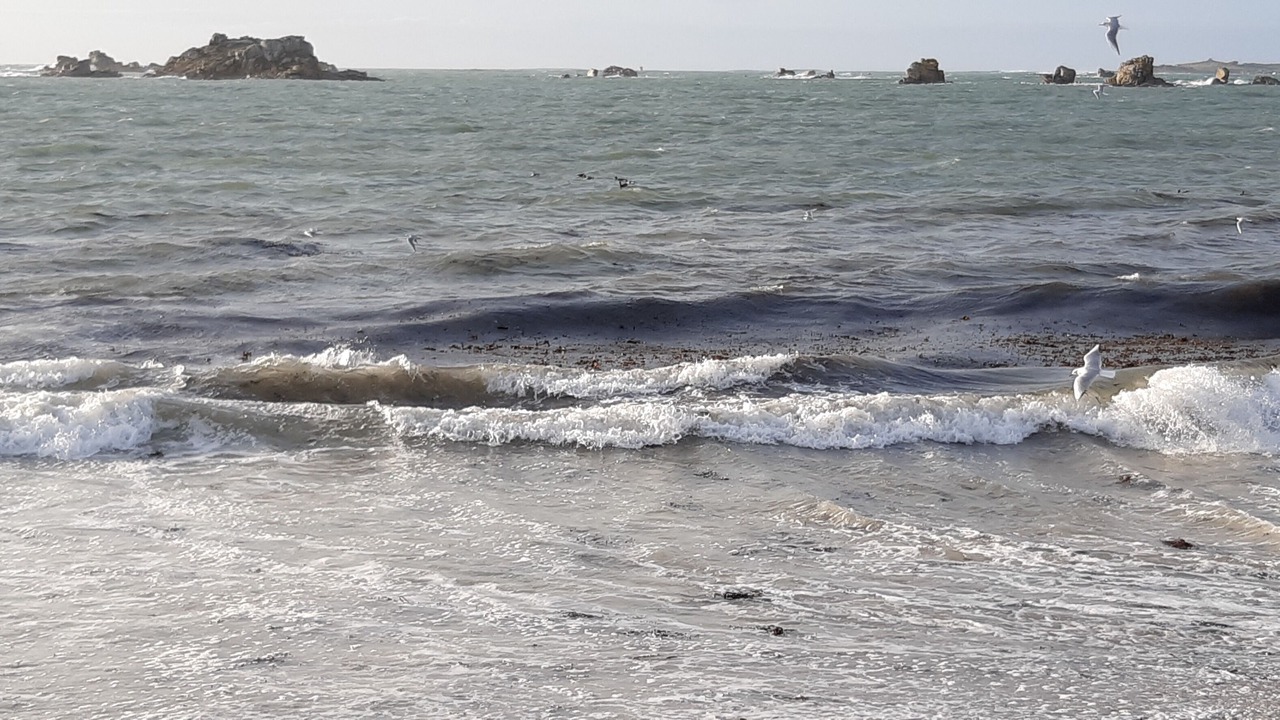 Photo of Others in Ile-de-Batz