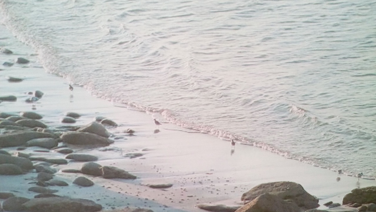 Photo of Others in Ile-de-Batz