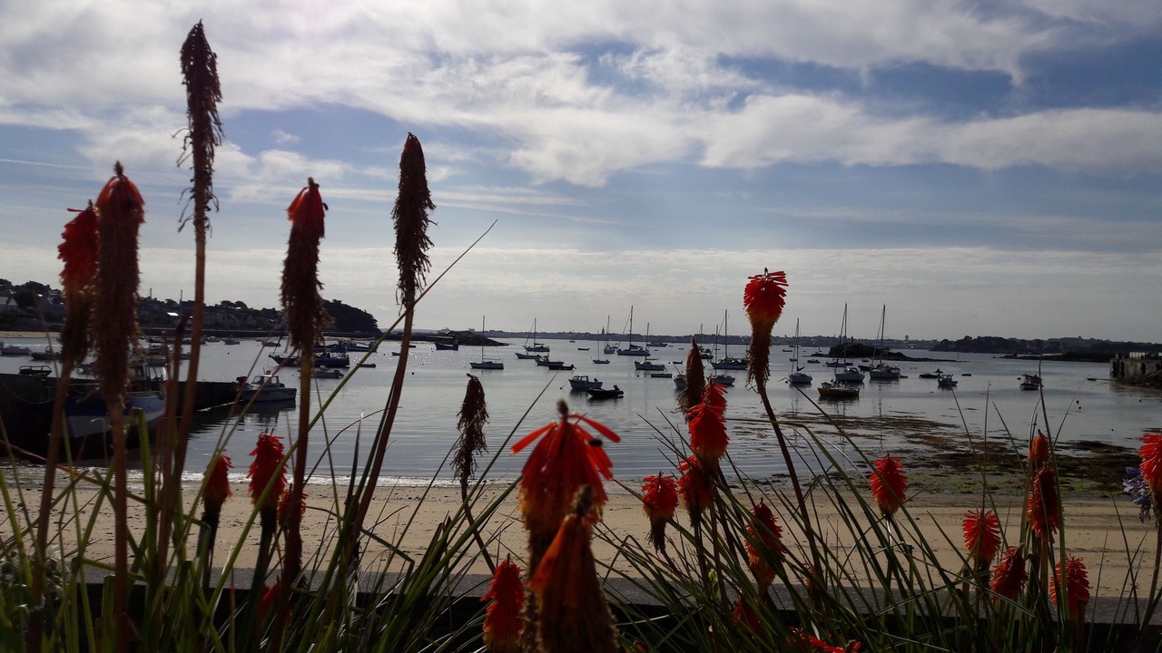 Photo of Others in Ile-de-Batz