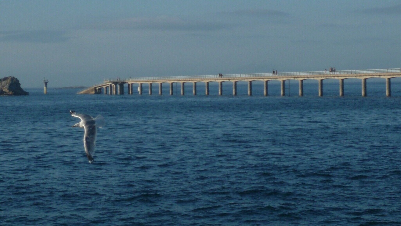 Photo of Others in Ile-de-Batz