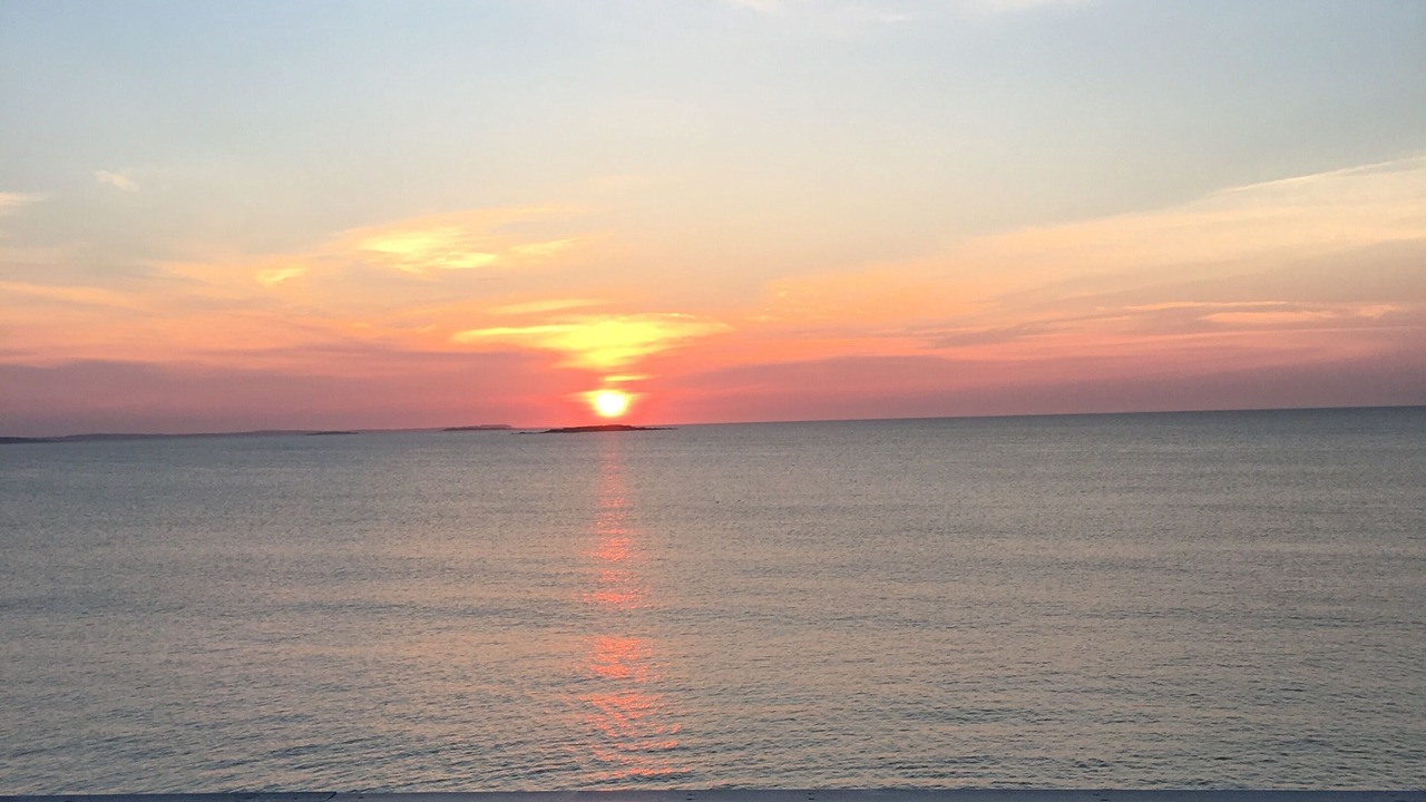 Photo of Others in Camp Ellis