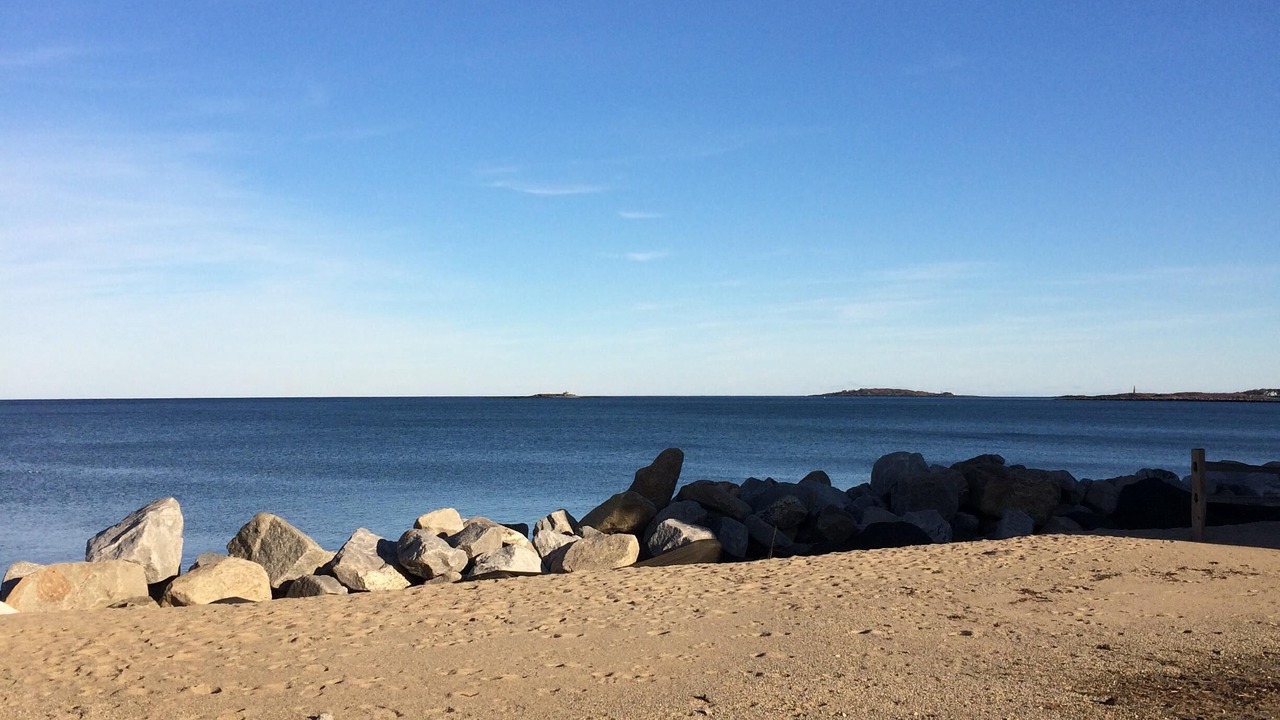 Photo of Others in Camp Ellis