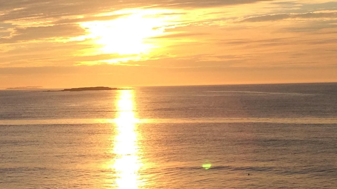 Photo of Others in Camp Ellis