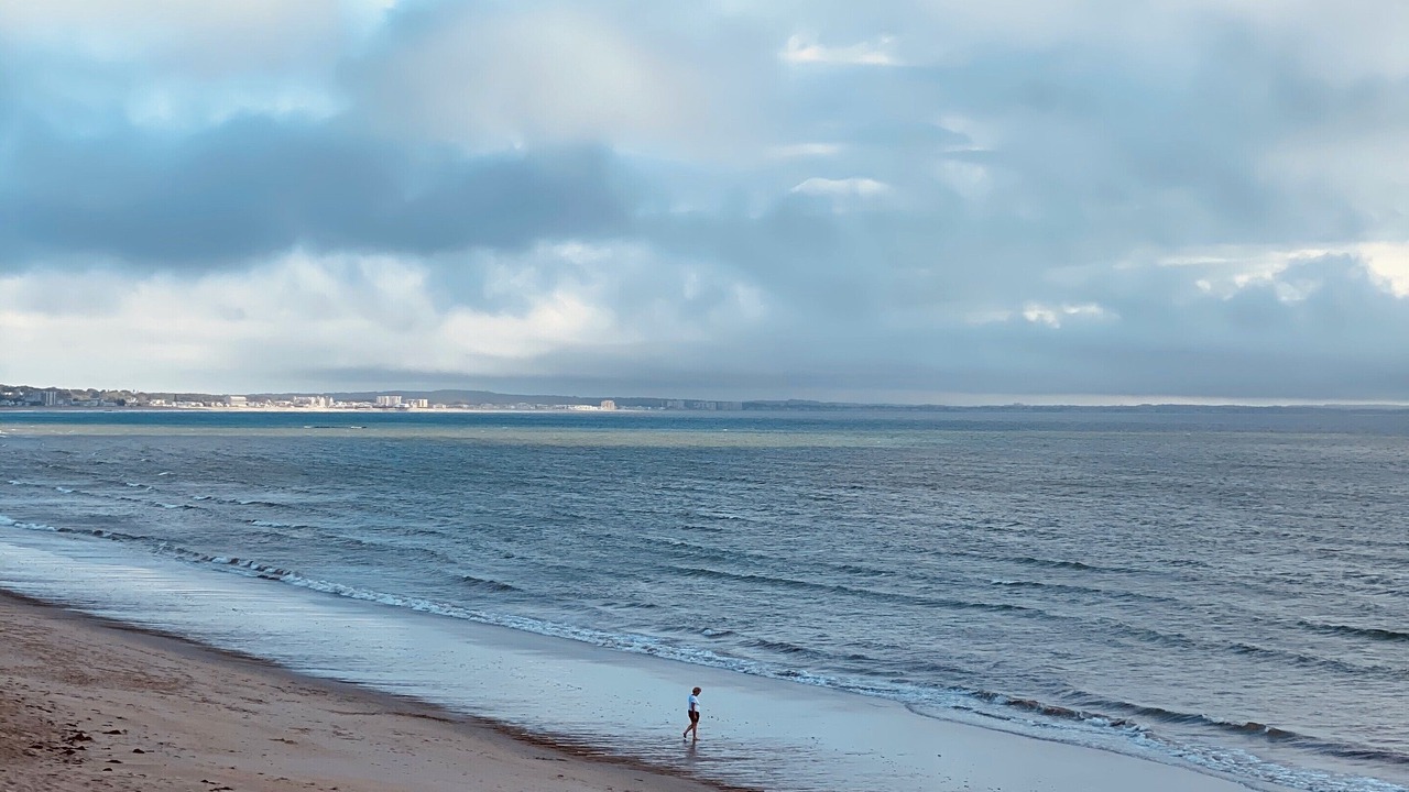 Photo of Others in Camp Ellis