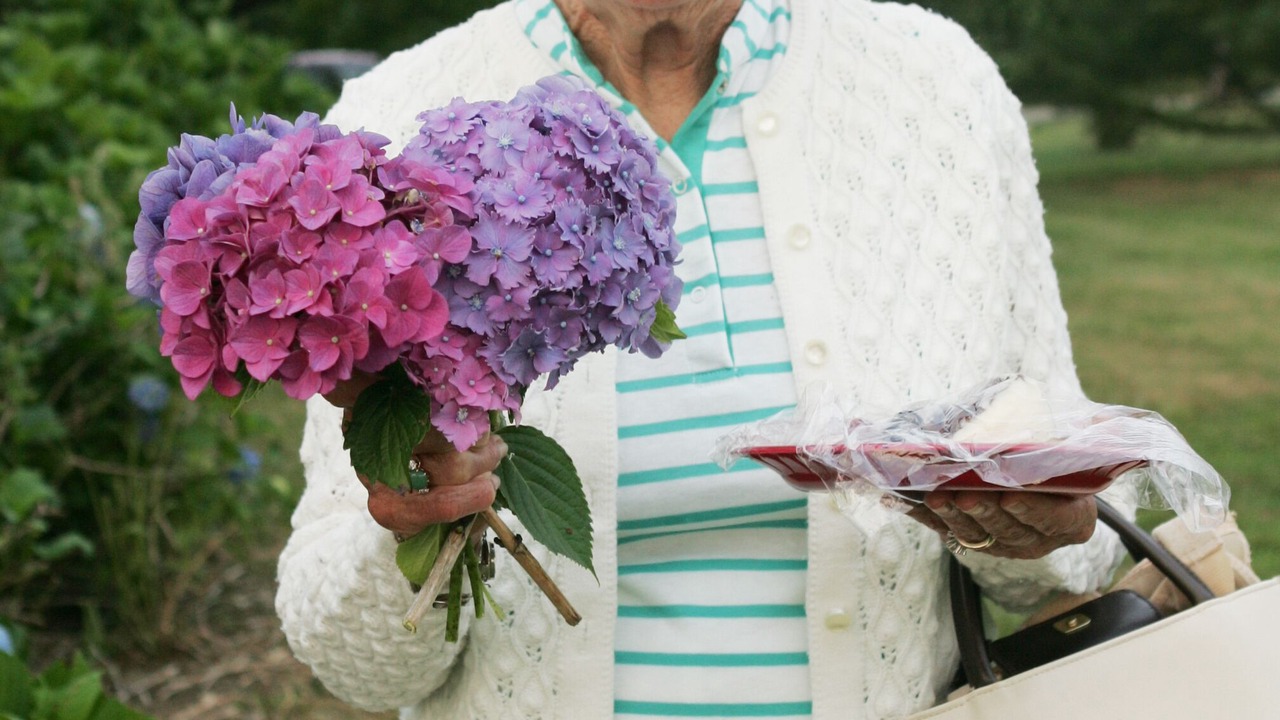 Photo of Others in Tiverton