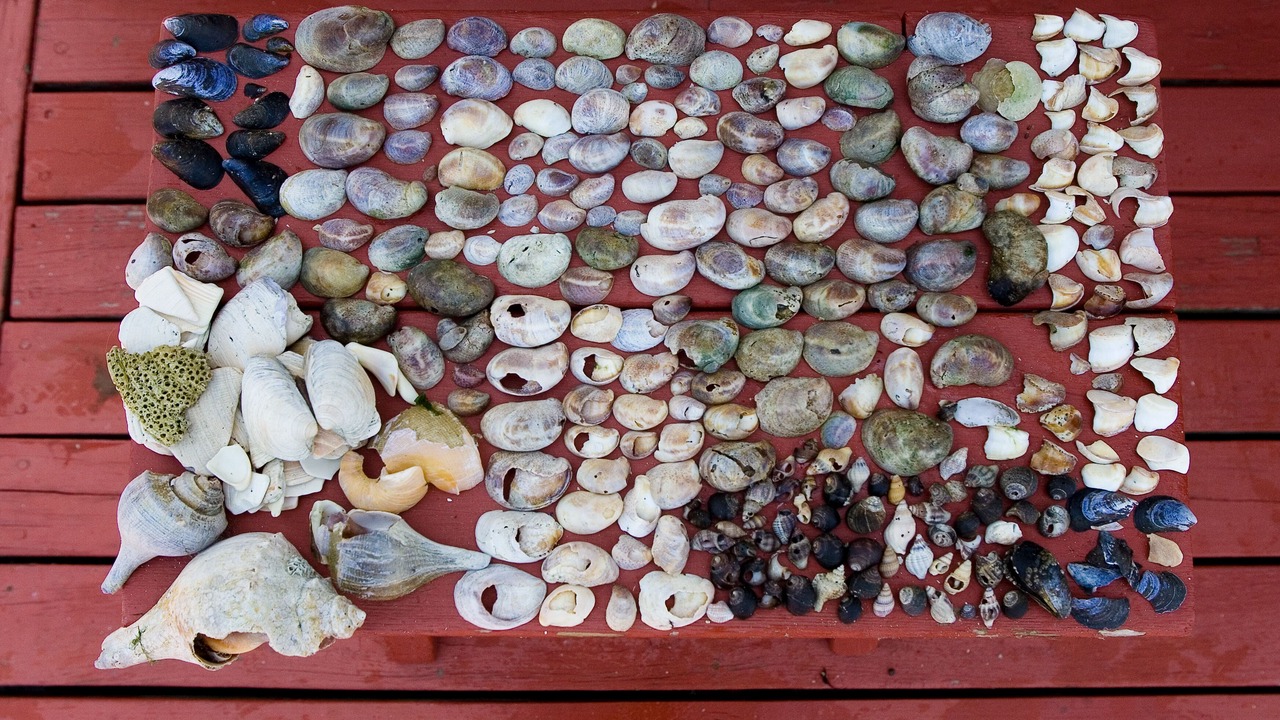 Photo of Others in Tiverton