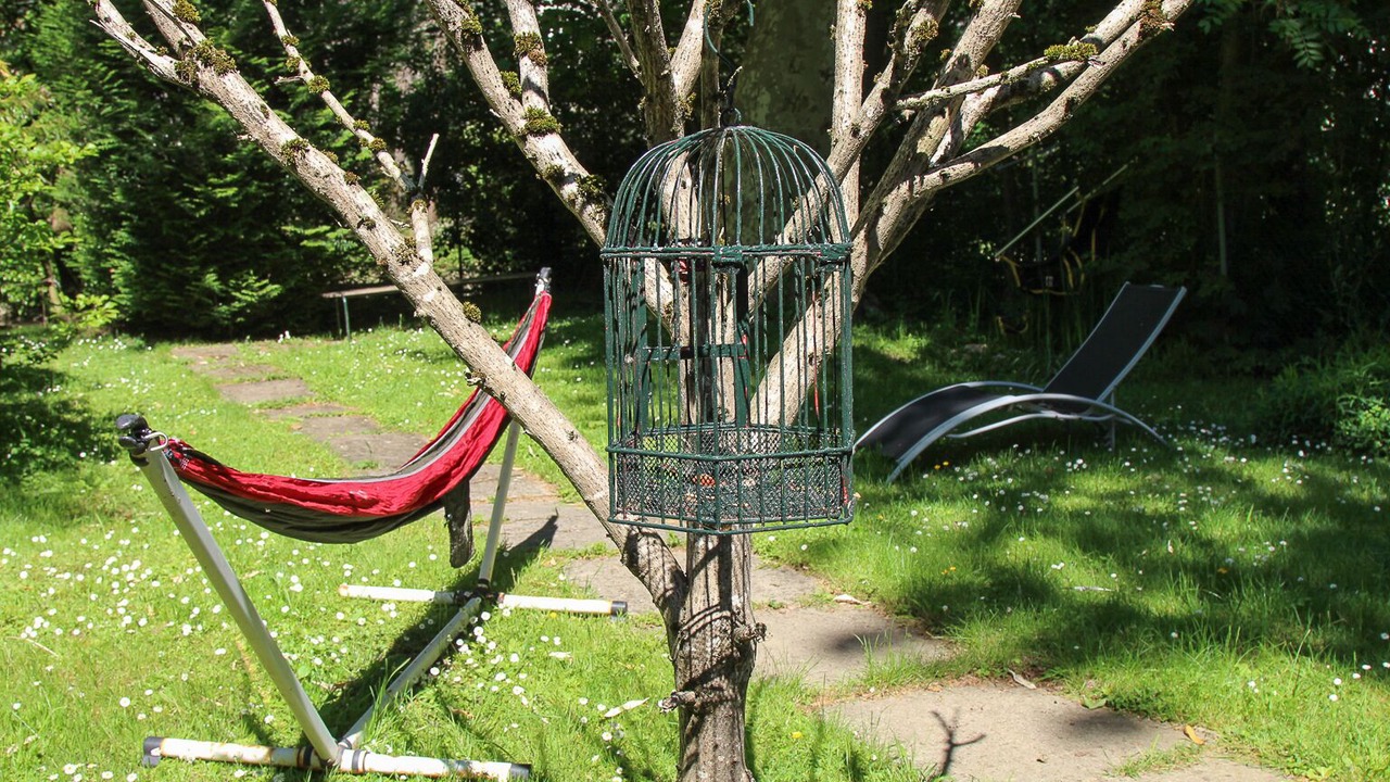 Photo of Outdoor in Yerres