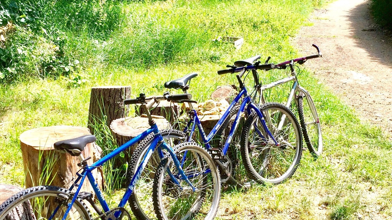 Photo of Outdoor in Yerres