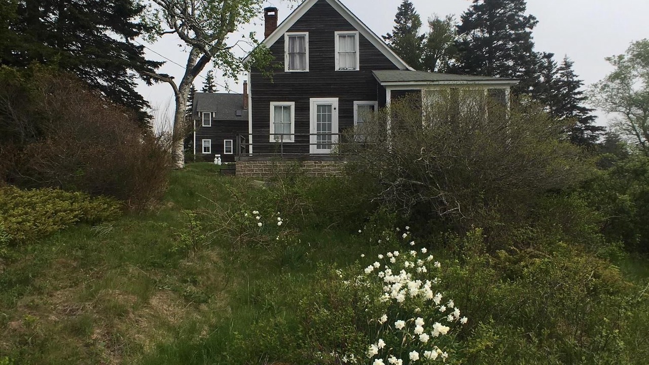 Photo of Others in Swans Island