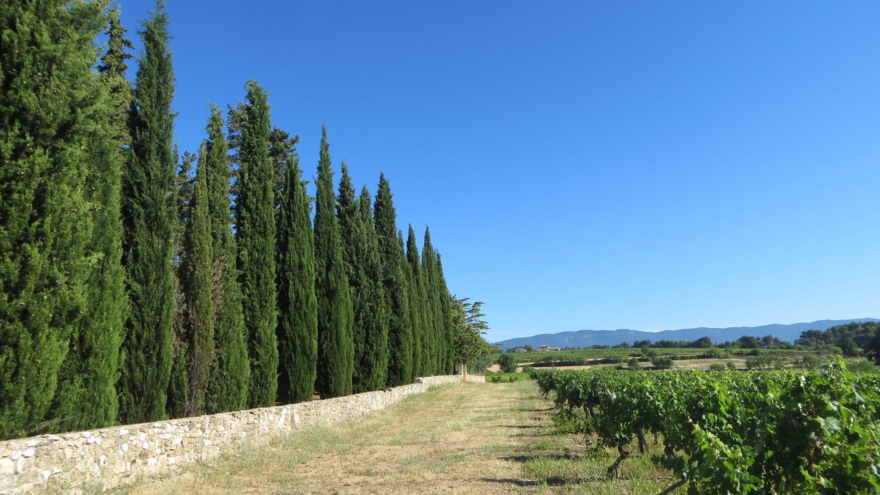 Photo of Outdoor in Pertuis
