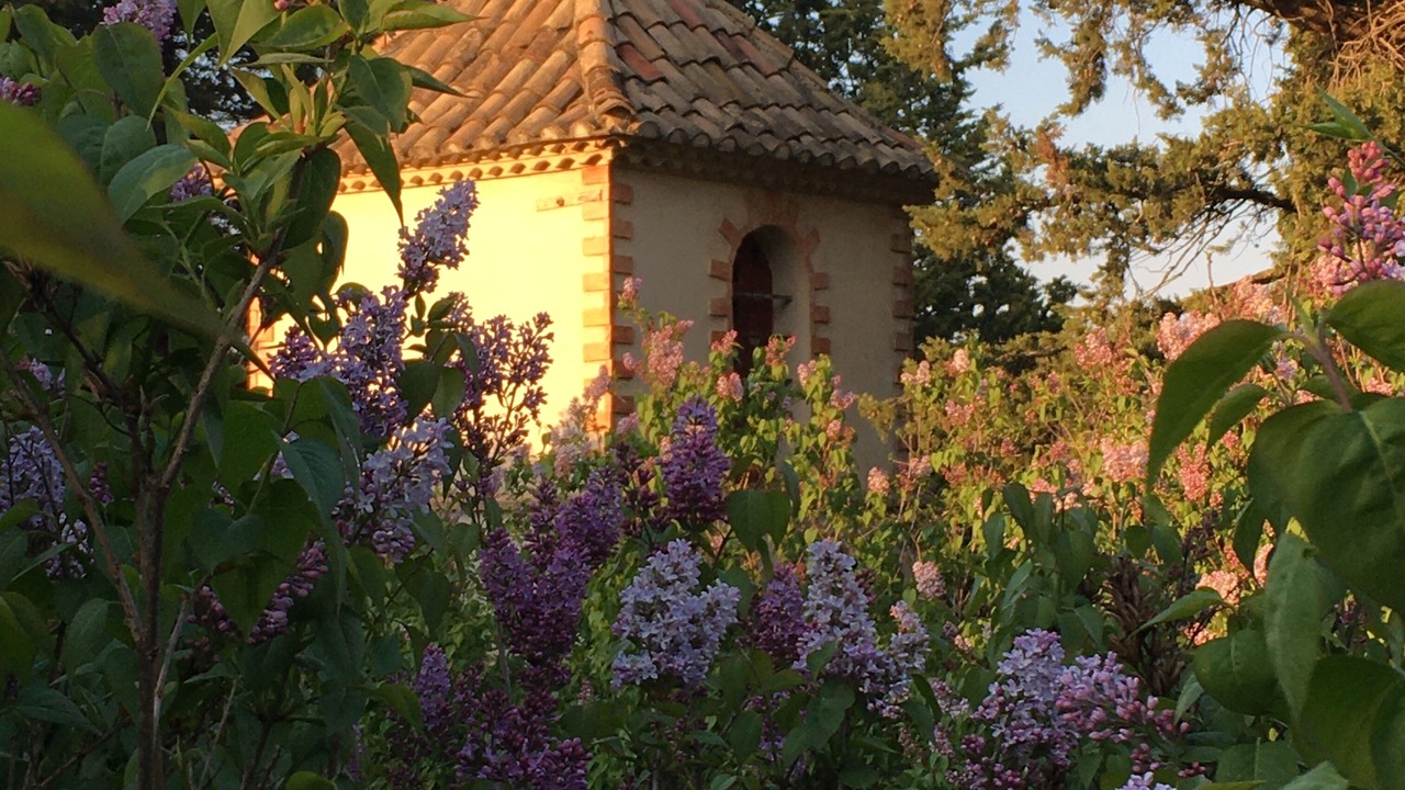 Photo of Outdoor in Pertuis