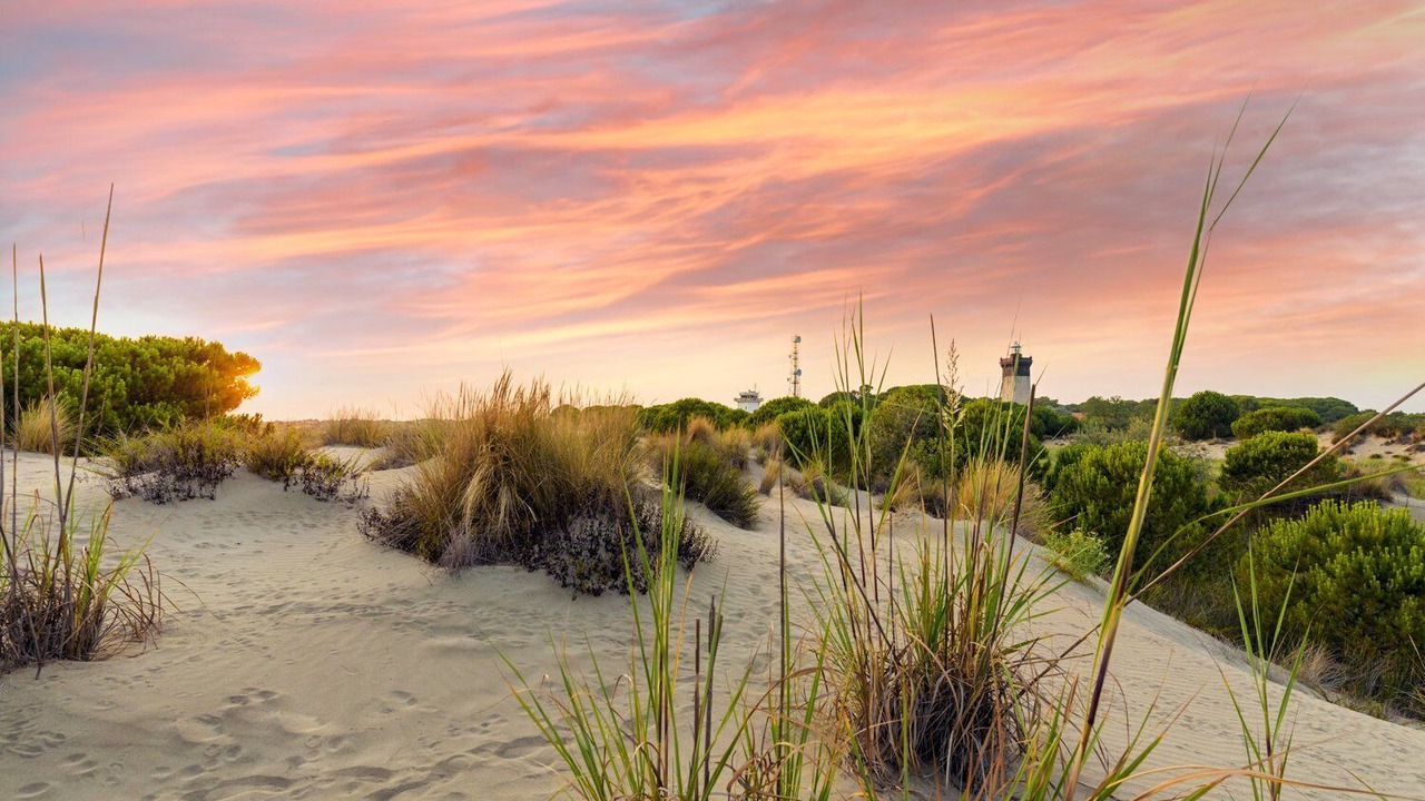 Photo of Others in Saint-Siffret