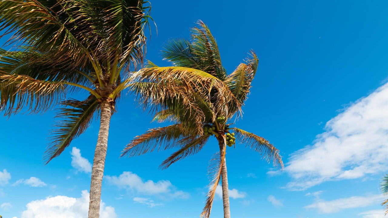 Photo of Others in Cypress Lakes