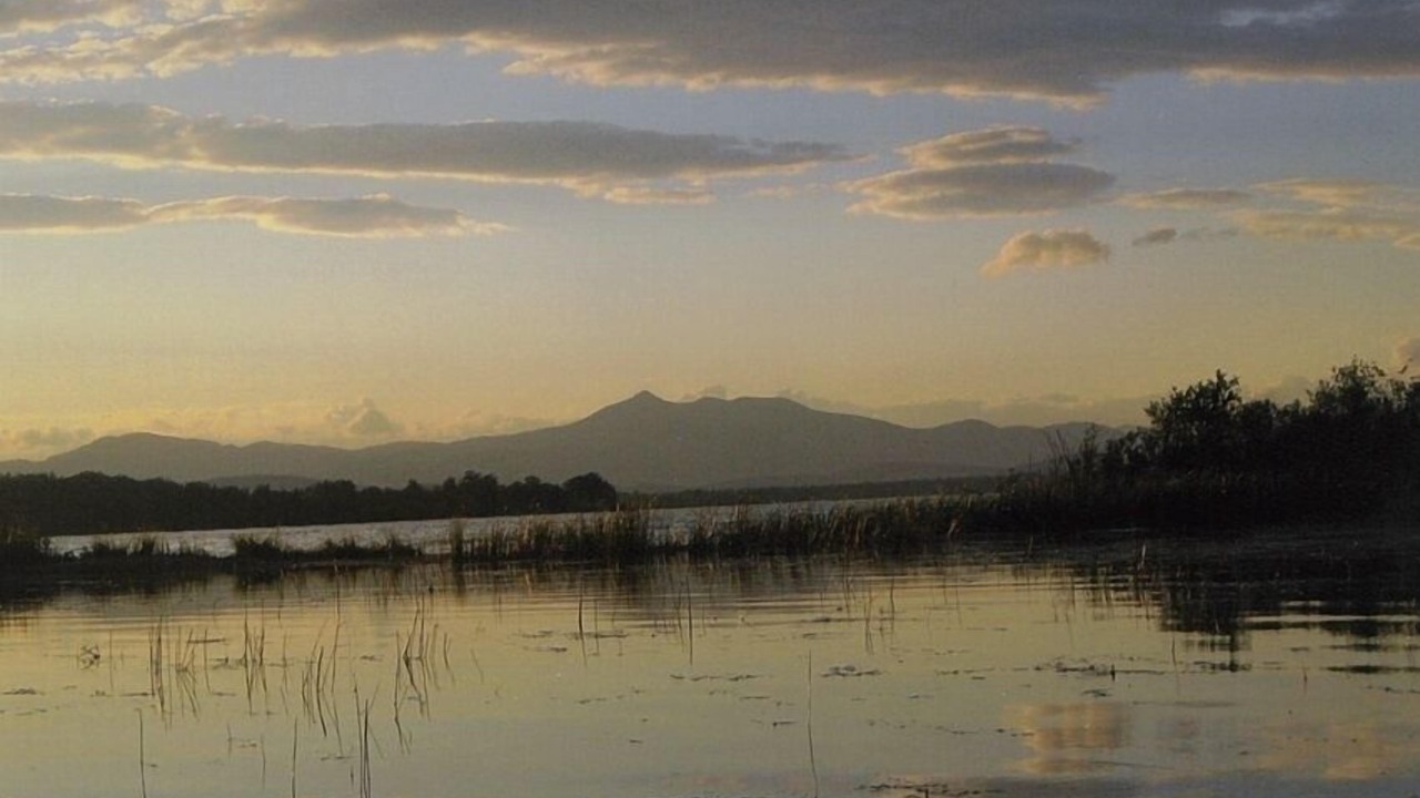 Photo of Outdoor in Center Ossipee