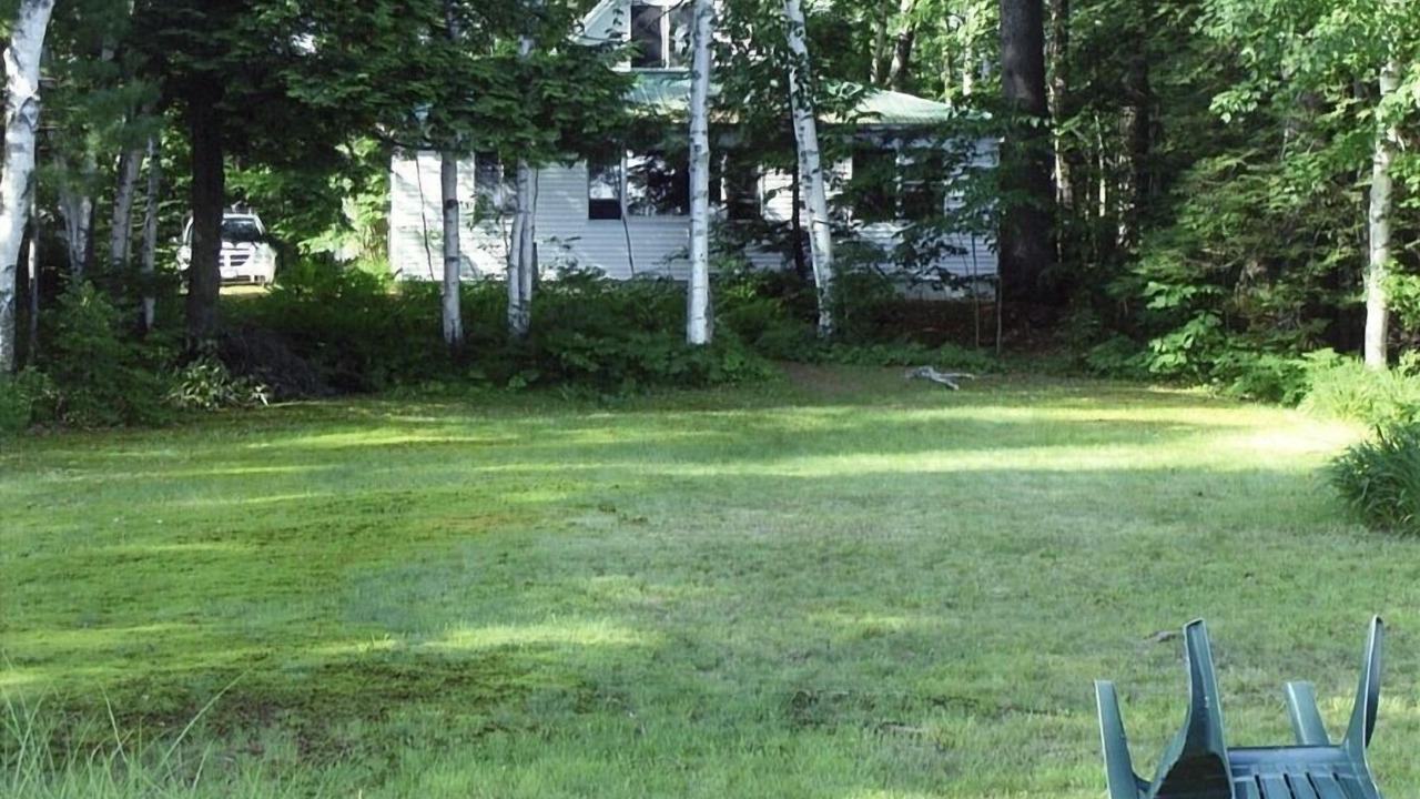 Photo of Outdoor in Center Ossipee