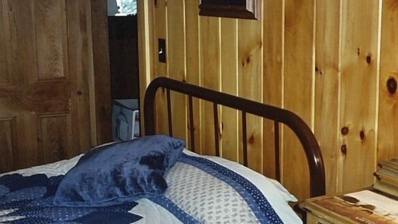 Photo of Bedroom in Center Ossipee